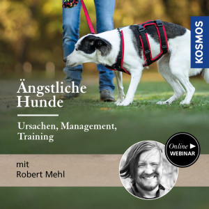 Ängstliche Hunde – Ursachen, Management, Training - Hundetrainer - Webinar | Robert Mehl