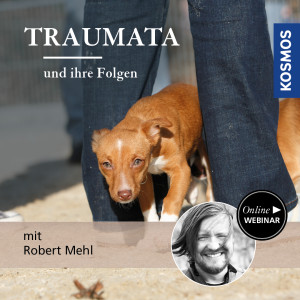 Traumata und ihre psychischen Folgen - Hundetrainer - Webinar | Robert Mehl
