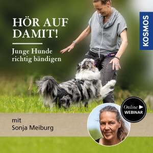 Hör auf damit! Junge Hunde richtig bändigen - Hundeanfänger - Webinar | Sonja Meiburg