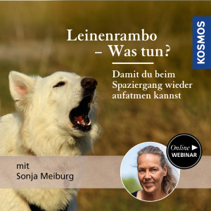 Leinenrambo - Was tun? - Hundeanfänger - Webinar | Sonja Meiburg