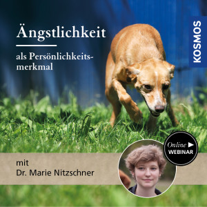 Ängstlichkeit als Persönlichkeitsmerkmal - Hundetrainer - Webinar | Marie Nitzschner