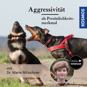 Aggressivität als Persönlichkeitsmerkmal - Hundetrainer - Webinar | Marie Nitzschner