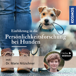 Persönlichkeitsforschung bei Mensch und Hund - Hundetrainer - Webinar | Marie Nitzschner