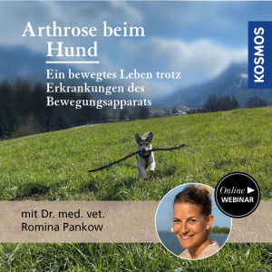 Arthrose beim Hund - Hundeanfänger - Webinar | Romina Pankow