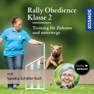 Rally Obedience Klasse 2 - Training für Zuhause und unterwegs - Hundeanfänger - Webinar | Sandra Vonderstein