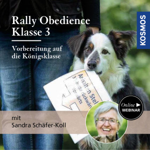 Rally Obedience Klasse 3 - Vorbereitung auf die Königsklasse - Hundeanfänger - Webinar | Sandra Vonderstein