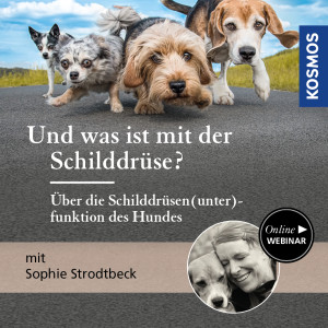 Und was ist mit der Schilddrüse? – Über die Schilddrüsen(unter)funktion des Hundes - Hundeanfänger - Webinar | Sophie Strodtbeck