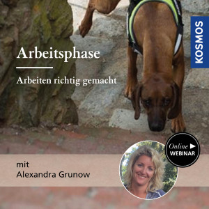 Arbeitsphase: Arbeiten richtig gemacht - Hundetrainer - Webinar | Alexandra Grunow
