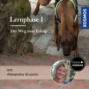 Lernphase 1 - Der Weg zum Erfolg - Hundetrainer - Webinar | Alexandra Grunow
