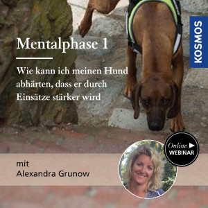 Mentalphase Teil 1: Wie kann ich meinen Hund abhärten, dass er durch Einsätze stärker wird - Hundetrainer - Webinar | Alexandra Grunow