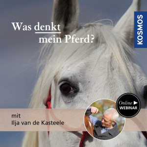 Was denkt mein Pferd? - Pferdeliebhaber - Webinar | Ilja van de Kasteele