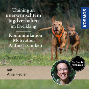 Training an unerwünschtem Jagdverhalten im Dreiklang: Kommunikation, Motivation & Aufmerksamkeit - Jagdhunde - Webinar | Anja Fiedler