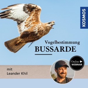 Vogelbestimmung: Bussarde - Naturliebhaber - Webinar | Leander Khil