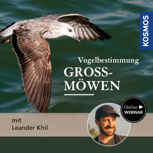 Vogelbestimmung: Häufige Großmöwen - Naturliebhaber - Webinar | Leander Khil