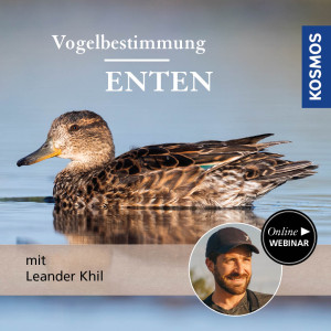 Vogelbestimmung: Enten - Naturliebhaber - Webinar | Leander Khil
