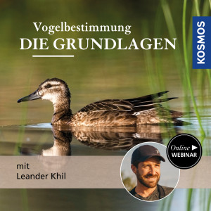 Vogelbestimmung: Die Grundlagen - Naturliebhaber - Webinar | Leander Khil