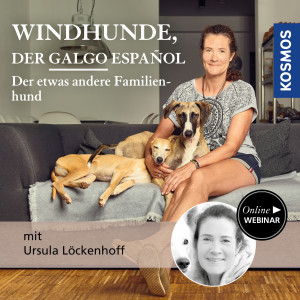 Windhunde, der Galgo Español – der etwas andere Familienhund - Hundeanfänger - Webinar | Ursula Löckenhoff