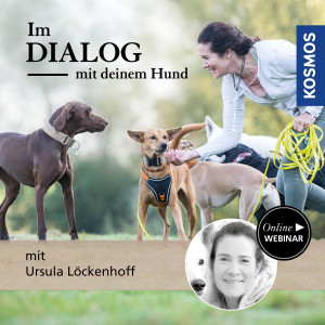 Im Dialog mit Deinem Hund - Hundeanfänger - Webinar | Ursula Löckenhoff