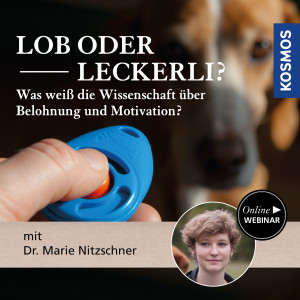 Lob oder Leckerli? - Was weiß die Wissenschaft über Belohnung und Motivation? - Hundetrainer - Webinar | Marie Nitzschner