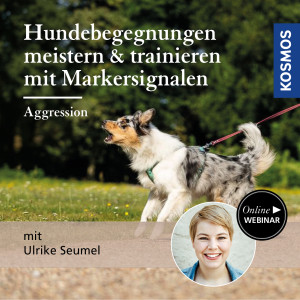 Hundebegegnungen meistern & trainieren mit Markersignalen: Aggression - Hundeanfänger - Webinar | Ulrike Seumel