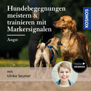 Hundebegegnungen meistern & trainieren mit Markersignalen: Angst - Hundeanfänger - Webinar | Ulrike Seumel