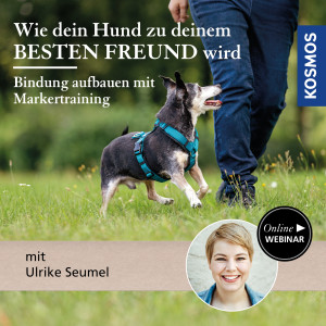 Wie dein Hund zu deinem besten Freund wird – Bindung aufbauen mit Markertraining - Hundeanfänger - Webinar | Ulrike Seumel