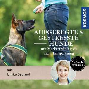 Aufgeregte & gestresste Hunde – mit Markertraining zu mehr Entspannung - Hundeanfänger - Webinar | Ulrike Seumel