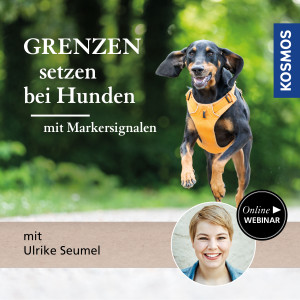 Grenzen setzen bei Hunden – mit Markersignalen - Hundeanfänger - Webinar | Ulrike Seumel