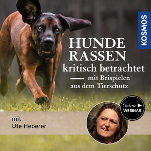 Hunderassen kritisch betrachtet – mit Beispielen aus dem Tierschutz - Hundetrainer - Webinar | Ute Heberer