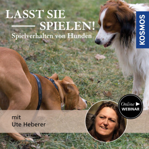 Lasst sie spielen! Spielverhalten von Hunden - Hundeanfänger - Webinar | Ute Heberer
