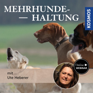 Mehrhundehaltung - Hundeanfänger - Webinar | Ute Heberer