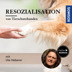 Resozialisation von Tierschutzhunden - Hundetrainer - Webinar | Ute Heberer