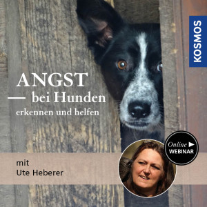 Angst bei Hunden - erkennen und helfen - Hundetrainer - Webinar | Ute Heberer