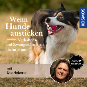 Wenn Hunde austicken – Verhaltens- und Zwangsstörungen beim Hund - Hundetrainer - Webinar | Ute Heberer