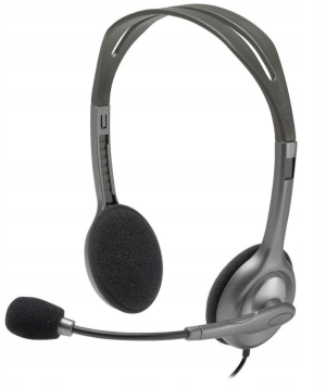 Logitech H110