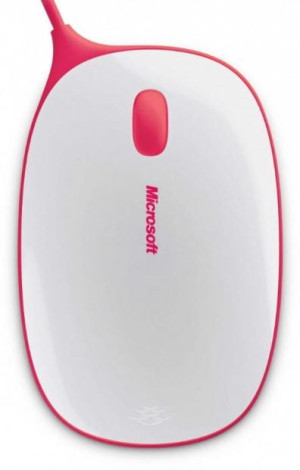 Microsoft Express Mouse