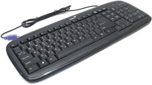 Genius SlimStar 110 PS2