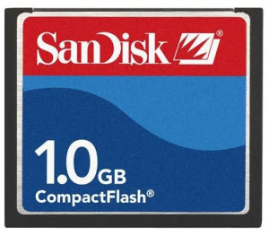 Karta pamięci Compact flash SanDisk 1GB