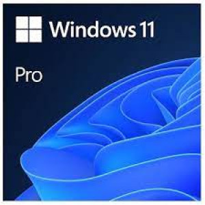 MS Windows 11 Pro PL x64 DVD OEM 64bit