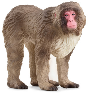 Schleich Wild Life - Makak japoński 14871