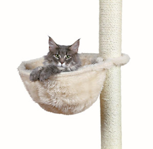 Katzen Trixie Kuschelsack rund ca. 38 cm, 38 cm Durchmesser, hochwertiger Edelplüsch, aus 100% Polyester, für 9-12 cm Sisalstämme