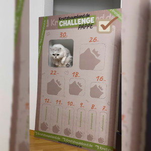 Challenge Pappe, passend für die gängigen DIN-Türen, Challenge-Öffnungen sind angezeichnet, Papieklebeband zum befestigen dabei, Höhe: 140 cm