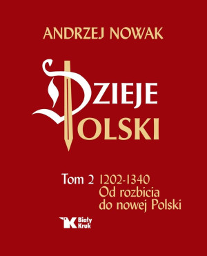 DZIEJE POLSKI. TOM 2. OD ROZBICIA DO NOWEJ POLSKI