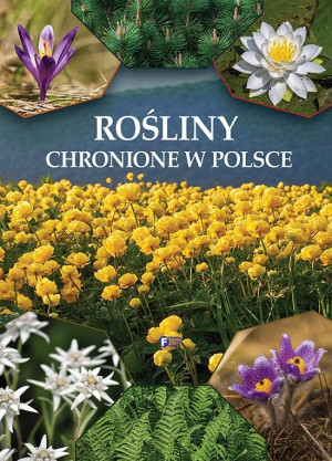 ROŚLINY CHRONIONE W POLSCE