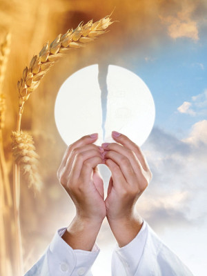 Baner na Boże Ciało, symbole Eucharystii 75x100 cm