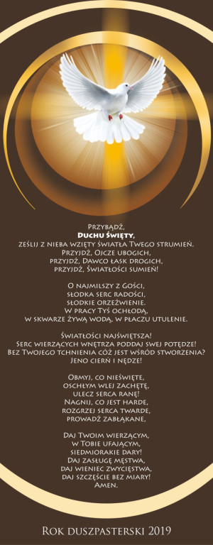 Baner na rok duszpasterski 2019 "Przybądź duchu święty"