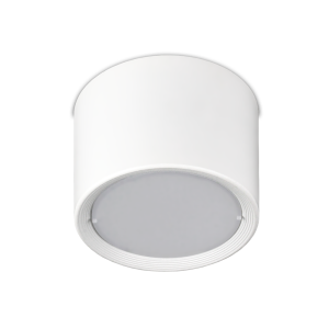 Natynkowa lampa sufitowa tuba LED ROLI 7W białe