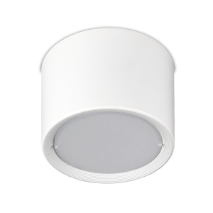 Natynkowa lampa sufitowa tuba LED ROLI 10W białe
