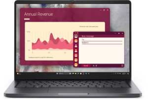 Laptop Dell Pro 14 Core 3-100U 16GB 512SSD FHD+ IPS 300Nit Win11Pro PC14250