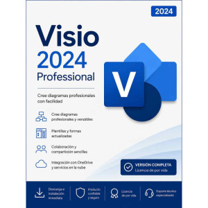 Microsoft Visio Professional 2024